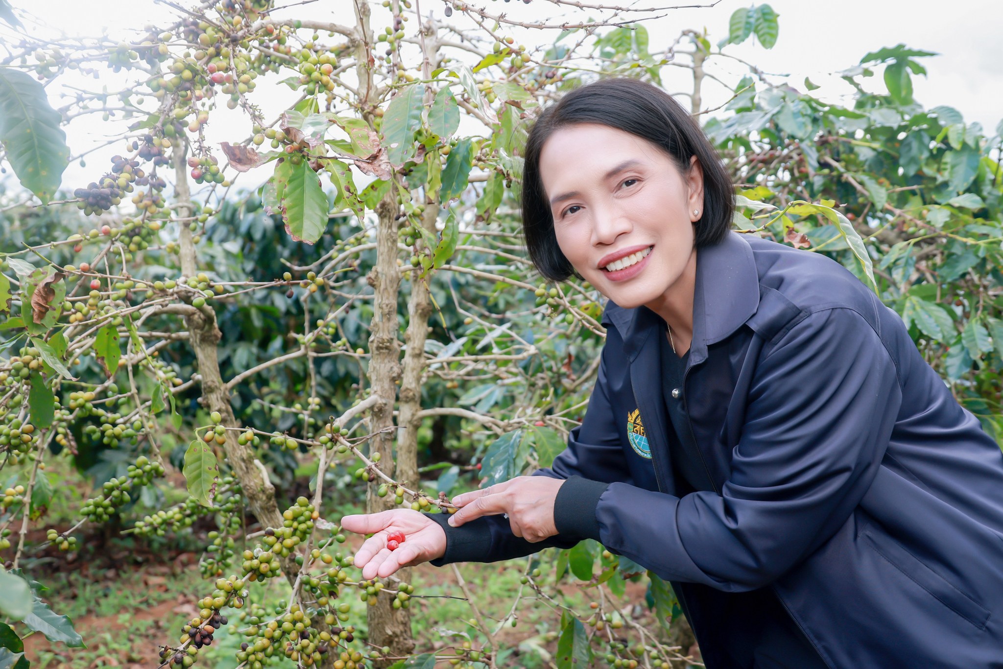 สคทช. ปักธง 